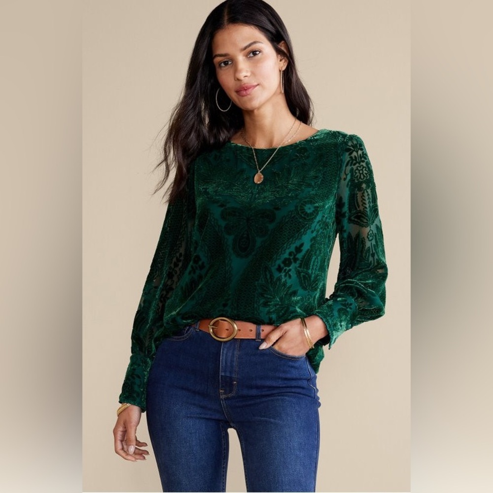 Soft Surroundings Vanetta Velvet Top Emerald 2X NWT